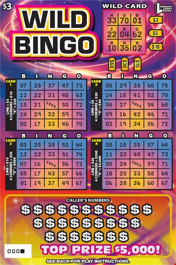 WILD BINGO